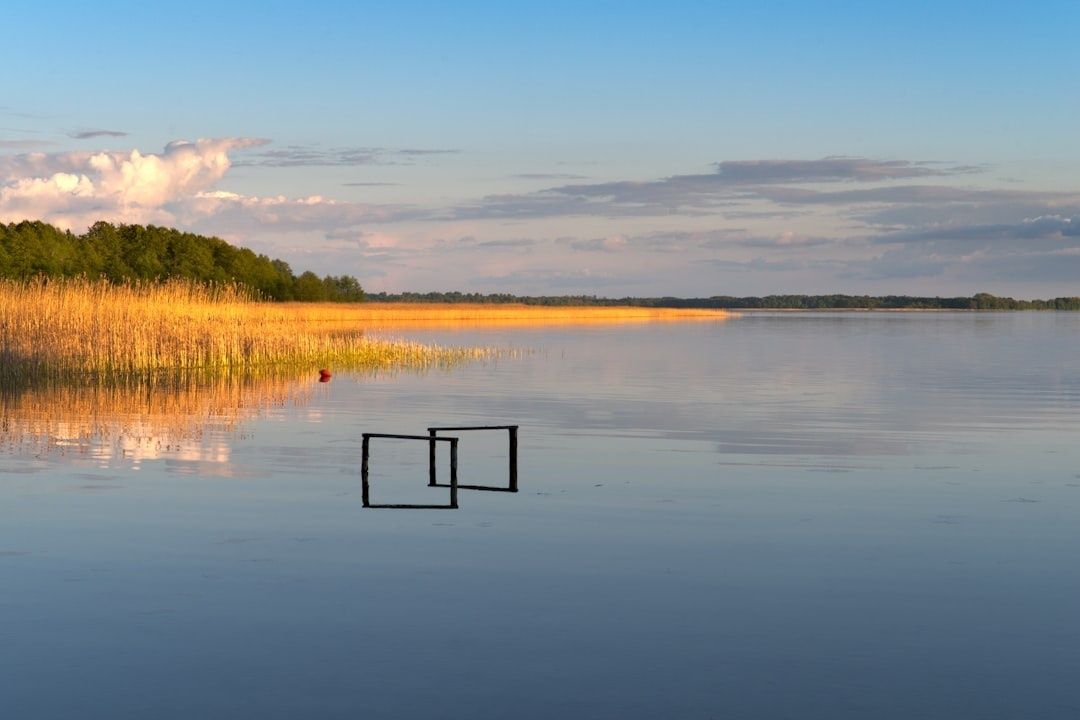 Ruhiger Binnensee mit Schilfgürtel und schwimmender Bojenstruktur